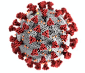 Ein stilisiertes Bild eines Virus mit einem grauen Kern und roten Spikes